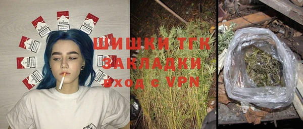 PSILOCYBIN Балабаново